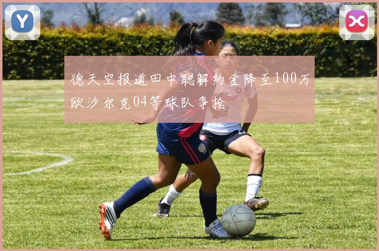 德天空报道田中聪解约金降至100万欧沙尔克04等球队争抢
